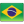 Português-BR