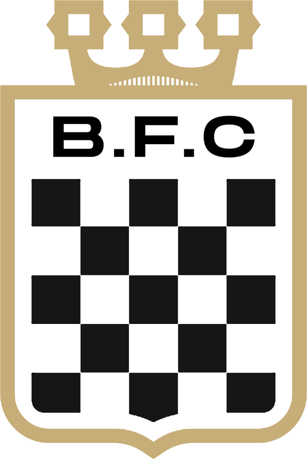 Team Logo