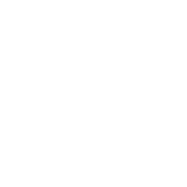 Team Logo 2